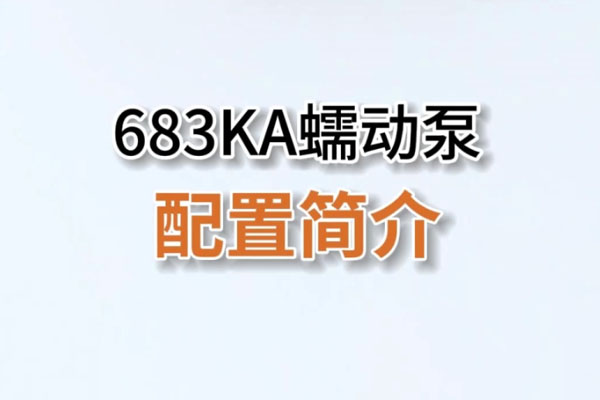 683KA蠕動泵配置簡介