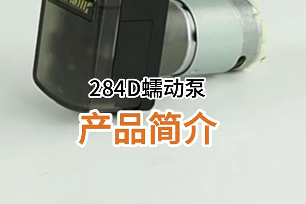 284D蠕動泵產品簡介