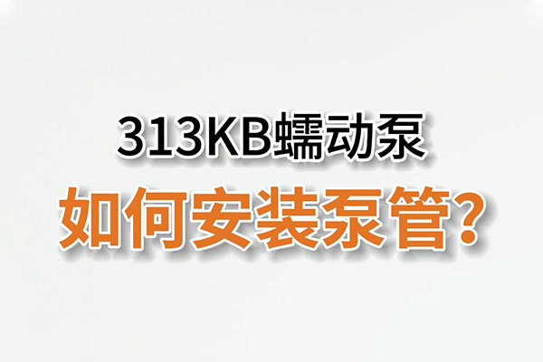 313KB蠕動泵如何安裝泵管