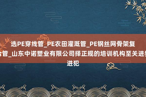 选PE穿线管_PE农田灌溉管_PE钢丝网骨架复合管_山东中诺塑业有限公司择正规的培训机构至关进犯